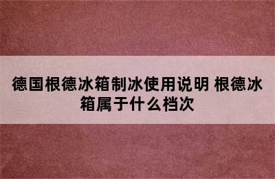 德国根德冰箱制冰使用说明 根德冰箱属于什么档次